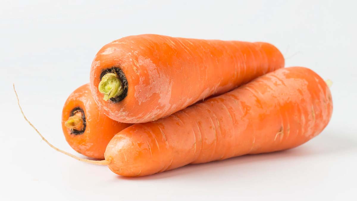 close up view of carrot