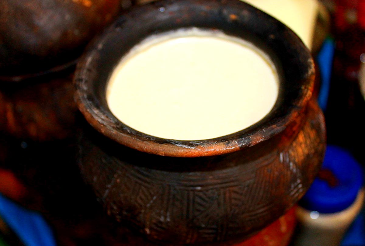 curd made from milk