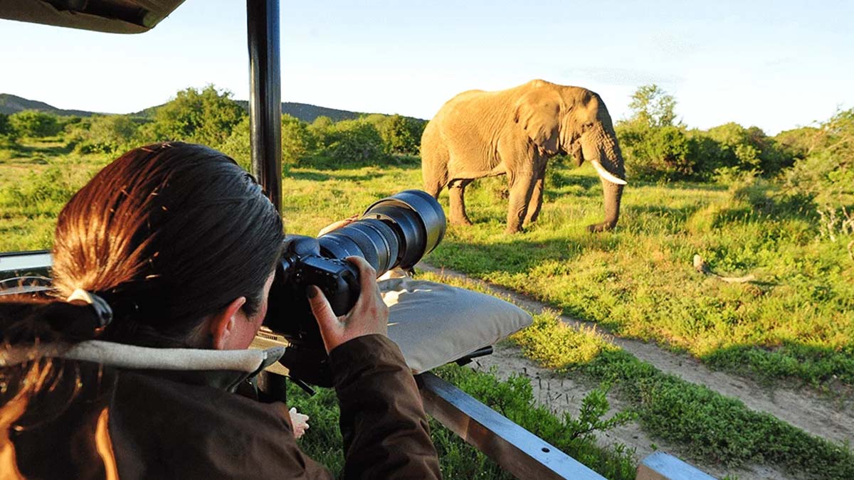 jungle safari guidelines in india