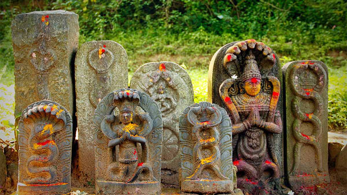 nagas worship
