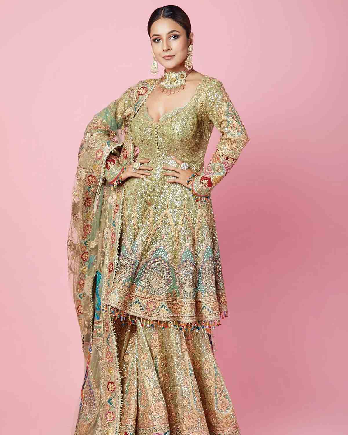 shehnaaz gill sharara outfit