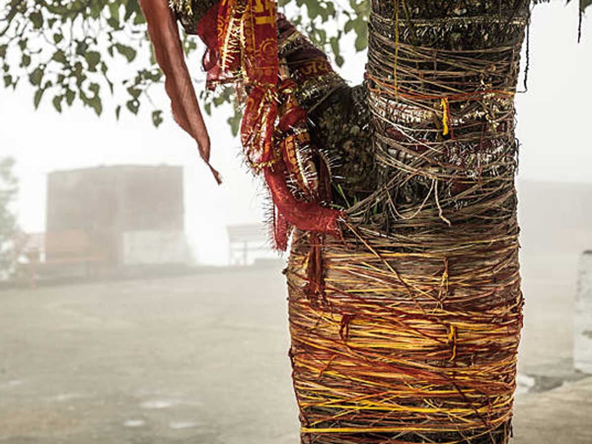 tie kalava to peepal tree