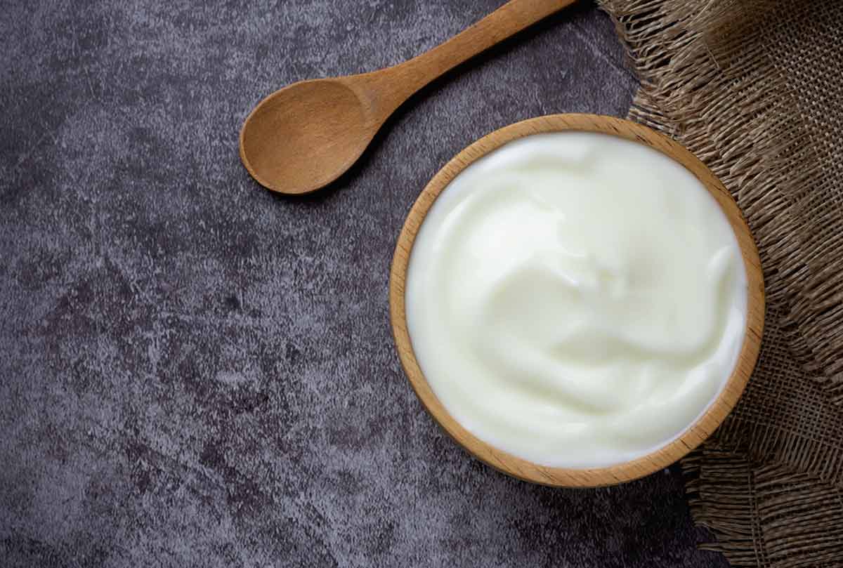 yogurt made from milk