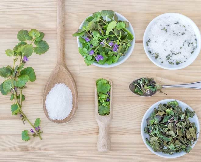 Herbs Uses in the kitchen tips