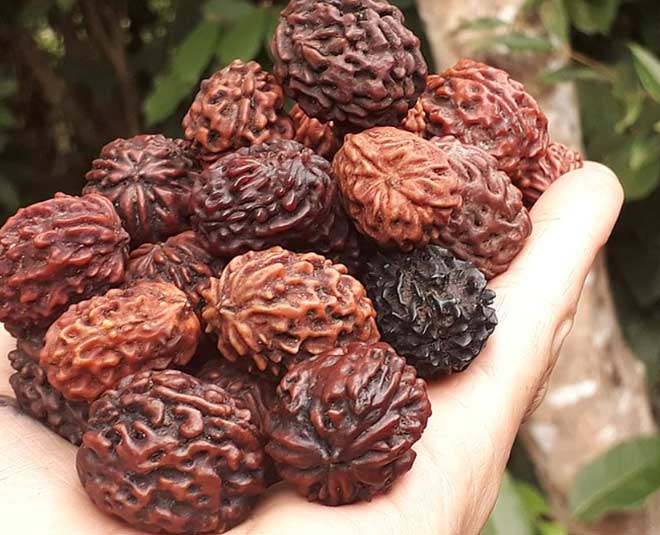 benefits of rudraksha mala