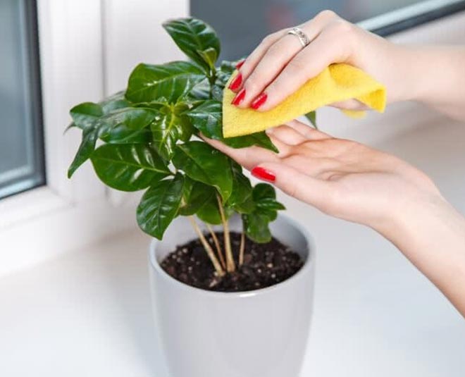 different reuse of waste ezee solution tips Inside