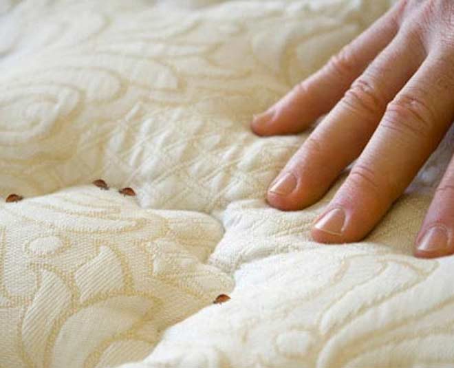 different uses of neem leaves for bed bugs inside