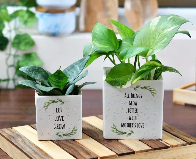 gift ideas for newly bride