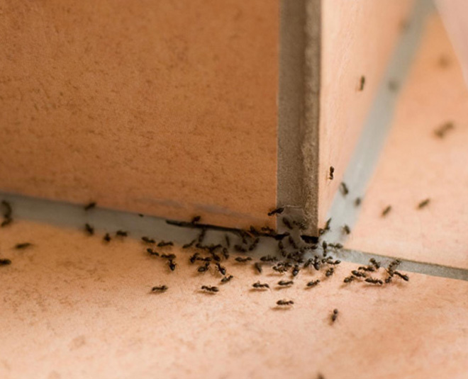 how to use rice flour in different ways inside