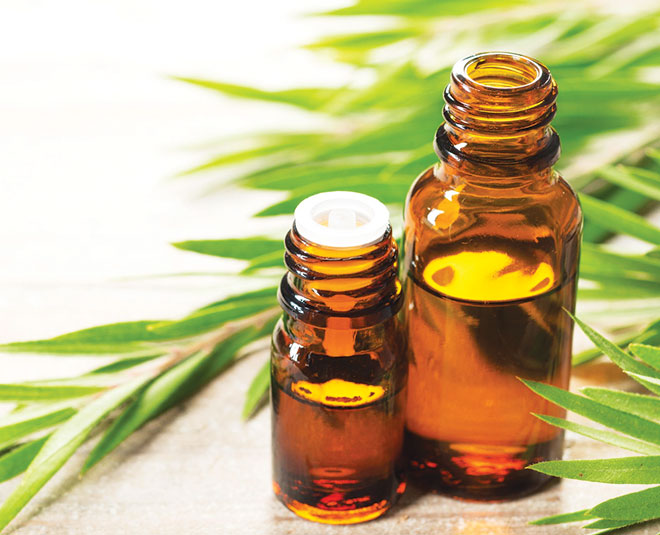 tea tree oil