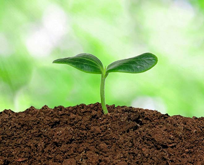 uses rice flour in different ways inside