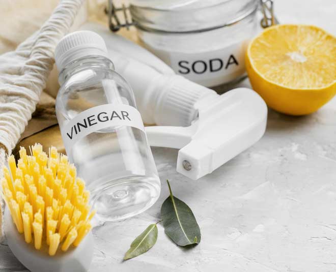 white vinegar for bed bugs