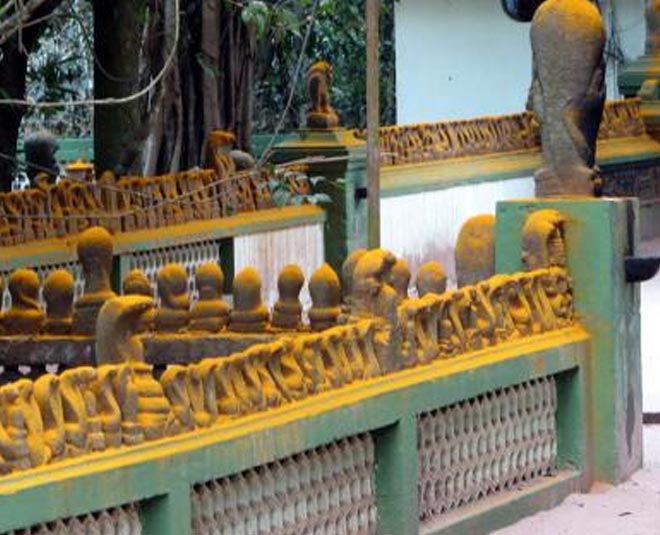 famous snake temple in kerala