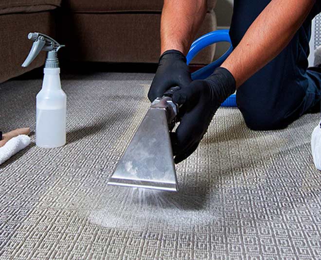 liquid detergent carpet cleaning