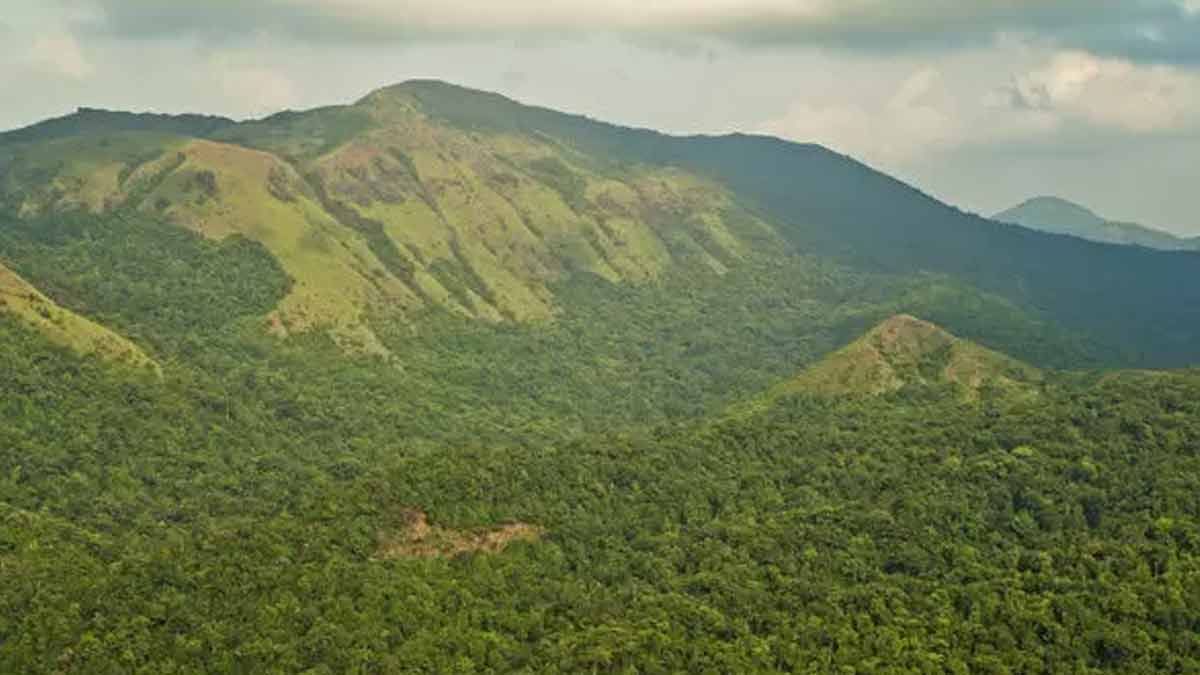 Bisle Ghat view points