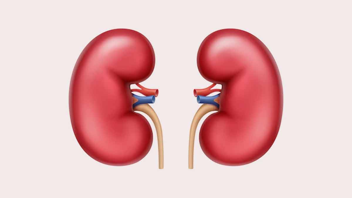 Chronic Kidney disorders