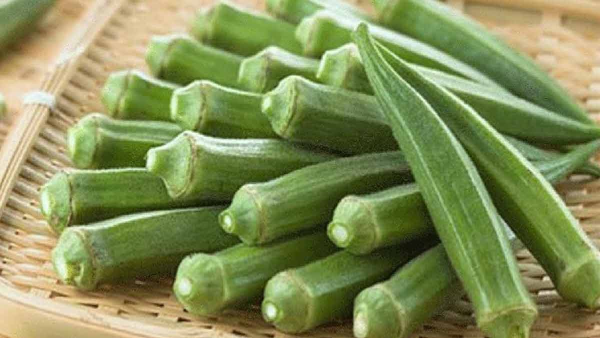 How To Buy Good Lady Finger In Hindi