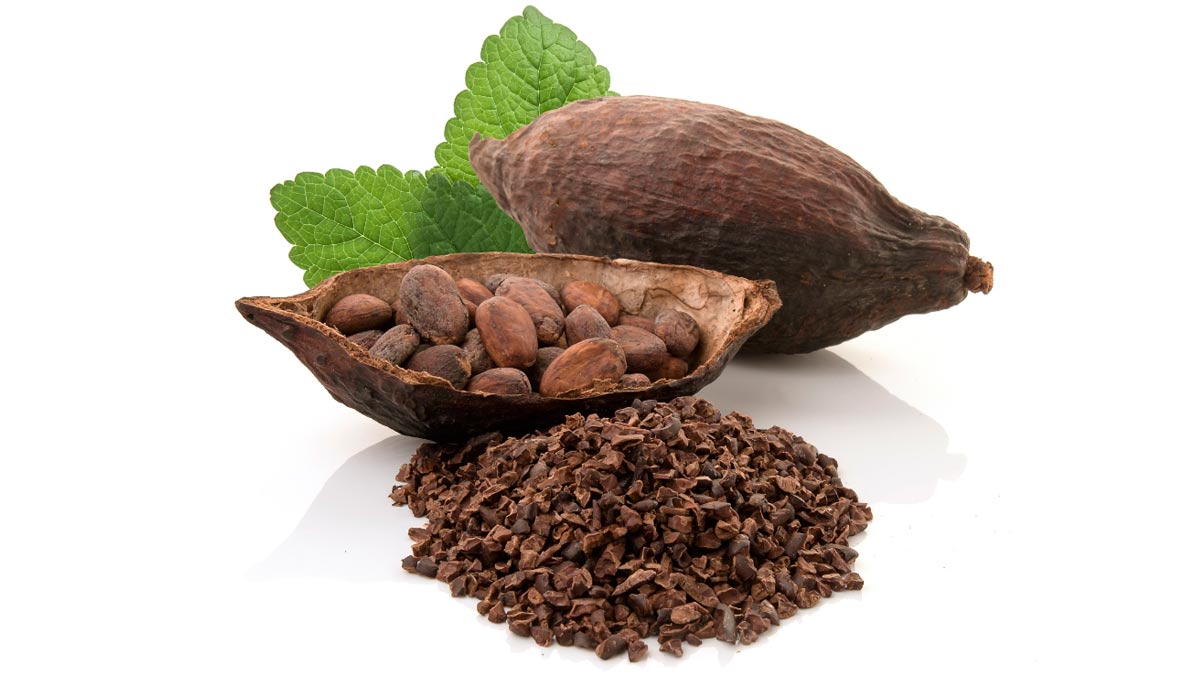 chocolate has special melting point