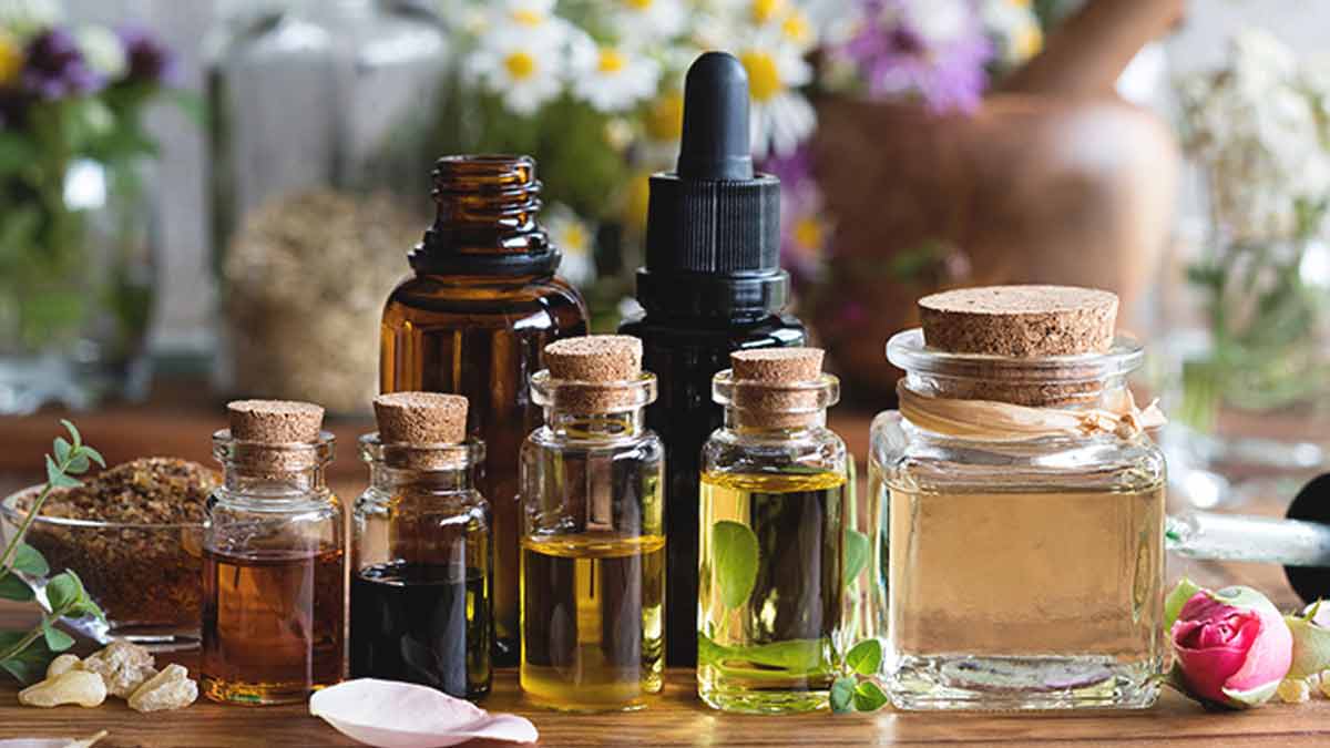 flying insects during rainy season tips