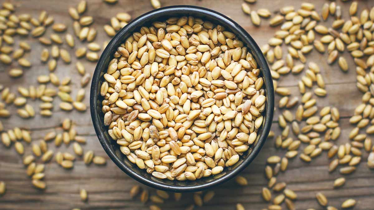 gemini zodiac astro remedies for guru purnima