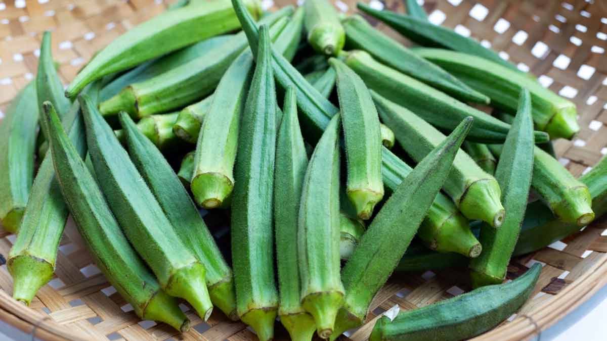 how to choose good bhindi