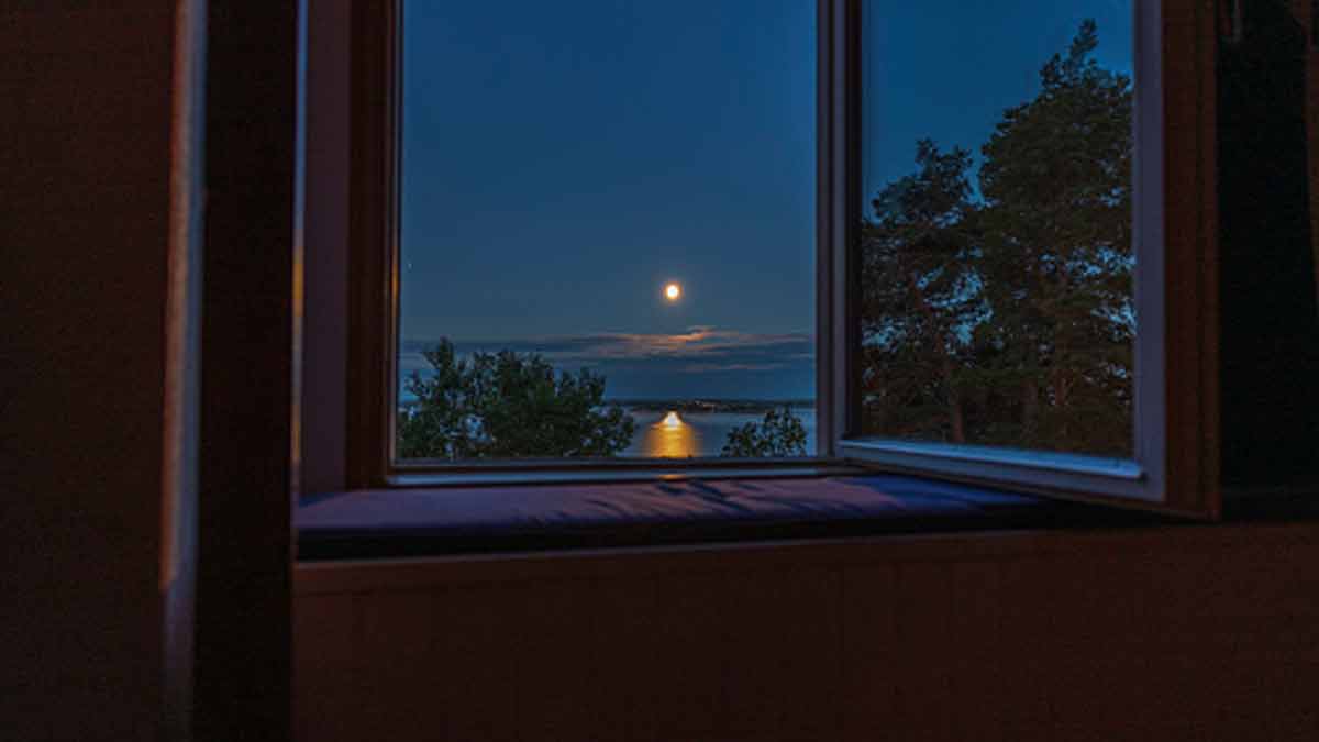 how to get rid of ants from home during monsoon