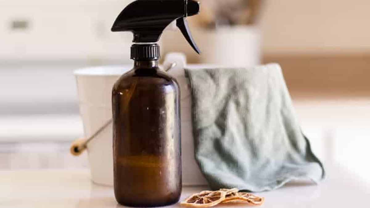 how to get rid of ants in kitchen during monsoon