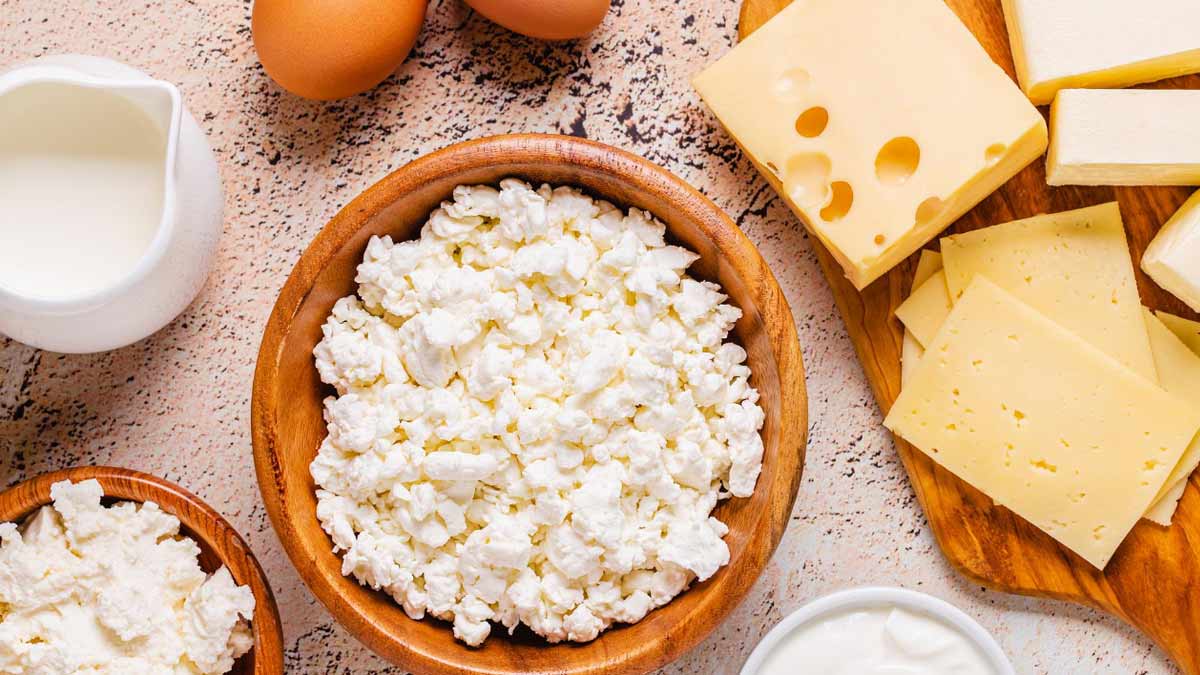 how to make curd with milk