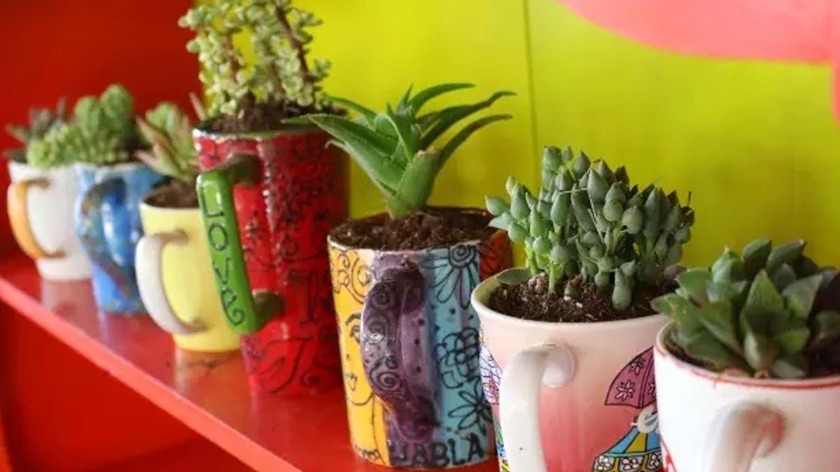 how to use old cup as plant holder