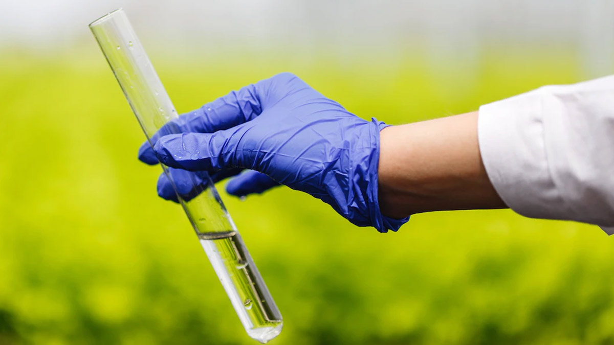 metanil test for haldi purity