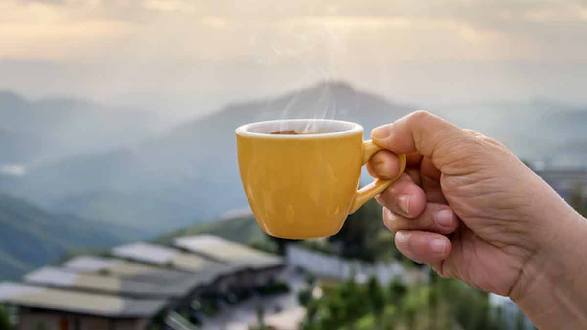 morning drinks