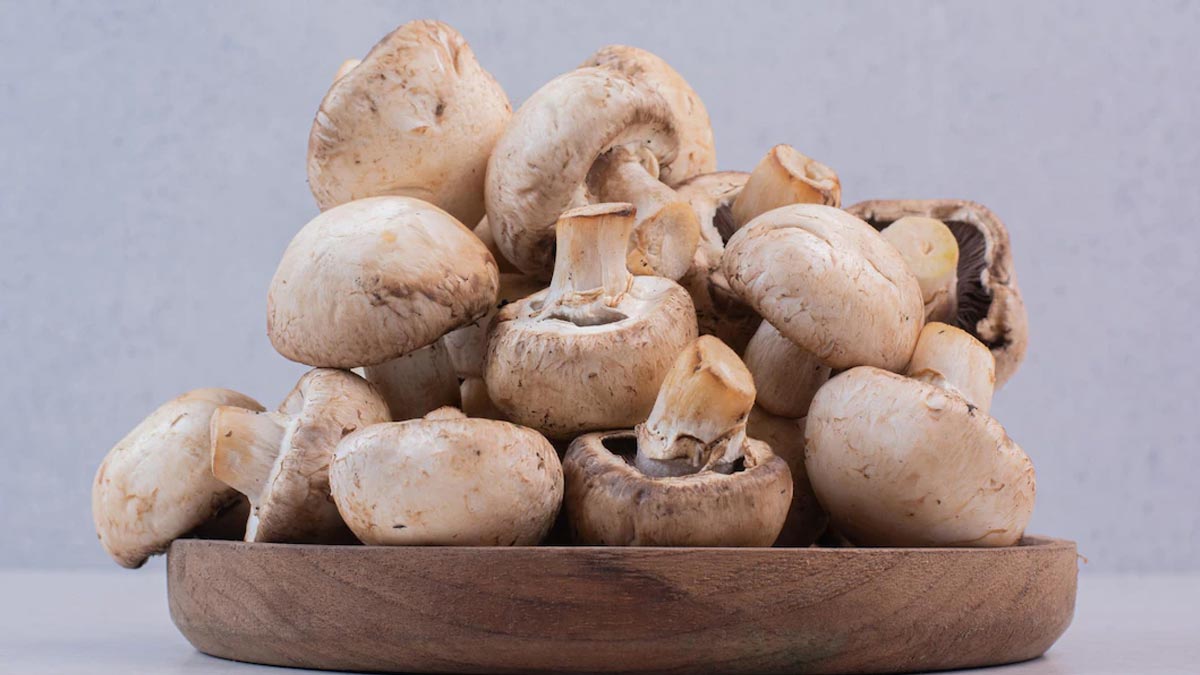 mushroom spoilage in one day