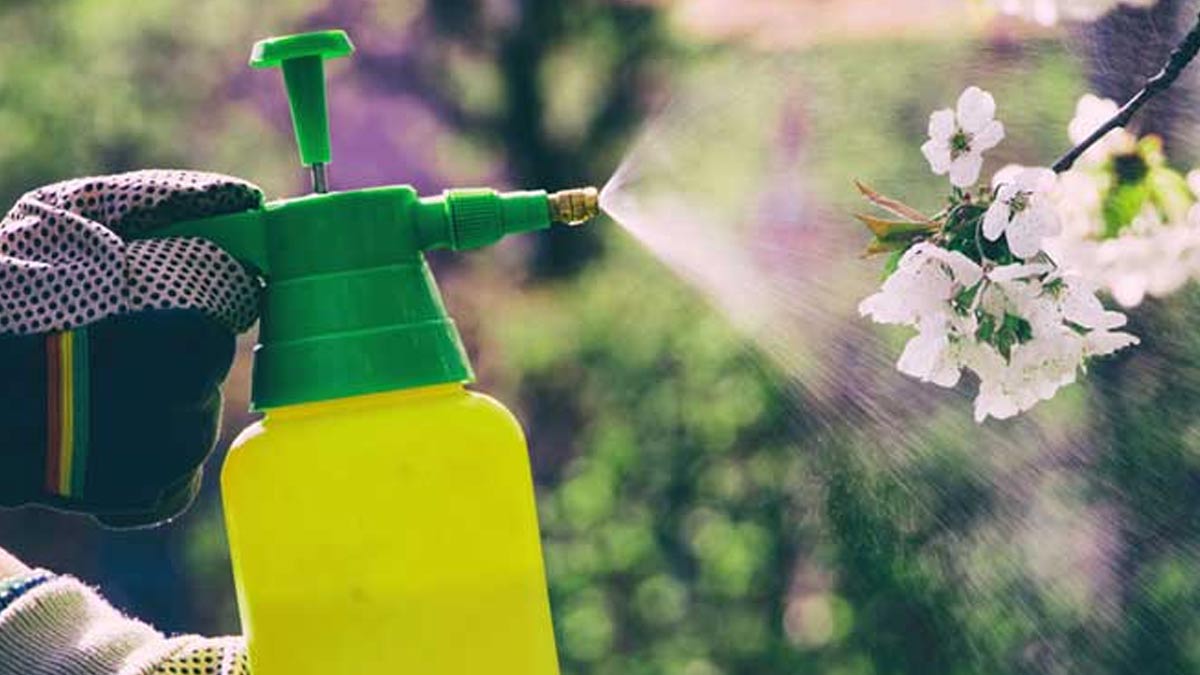 other uses of detergent powder