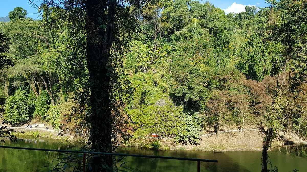 roing tourist places