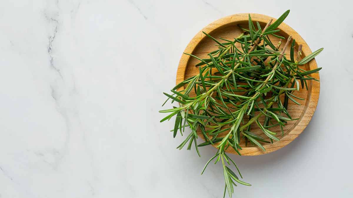 rosemarry herb for boost energy
