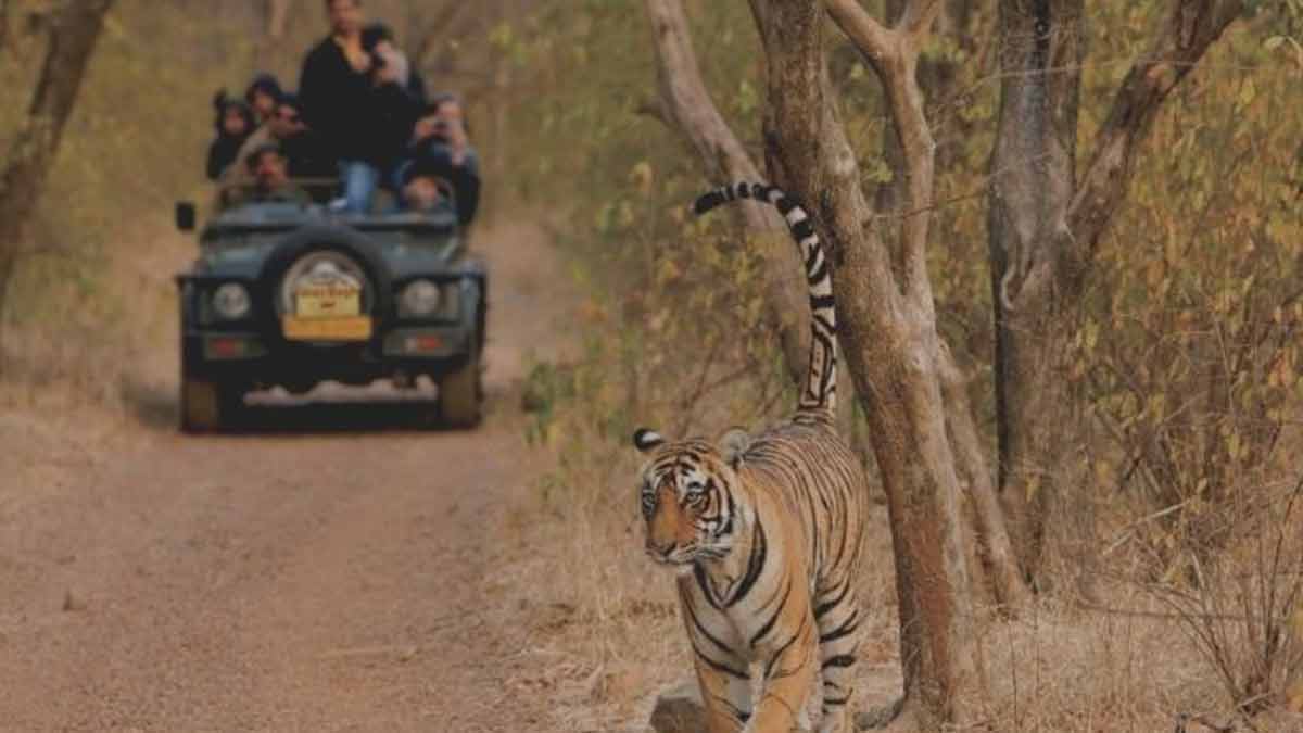 sariska national park