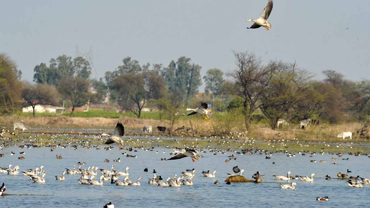 Best adventure places near gurgaon damdama inside