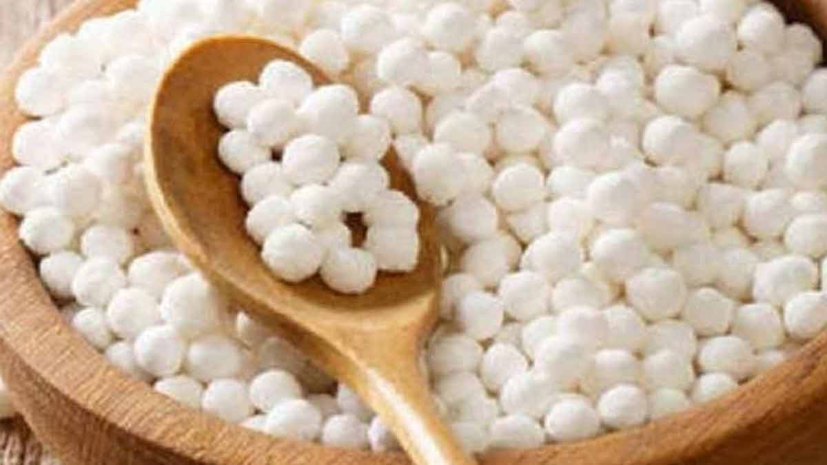 Container box for sabudana