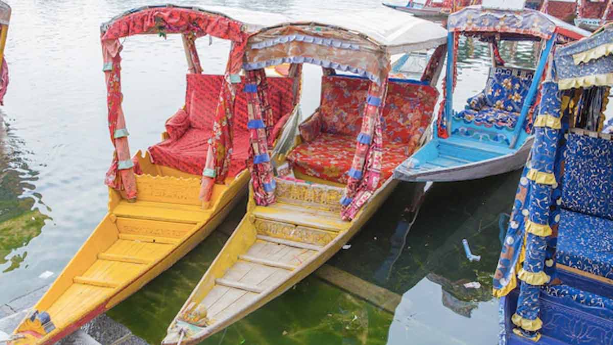 Dal lake information