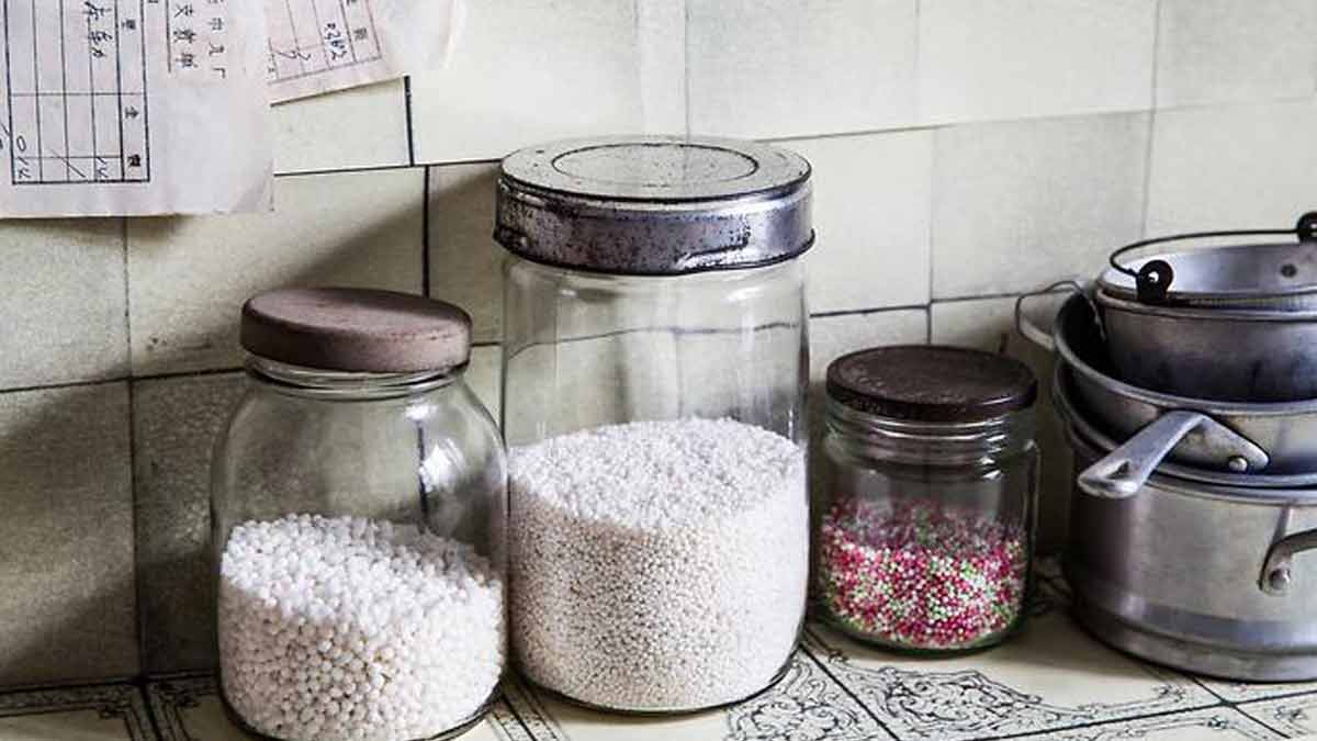 How to store sabudana hacks in hindi