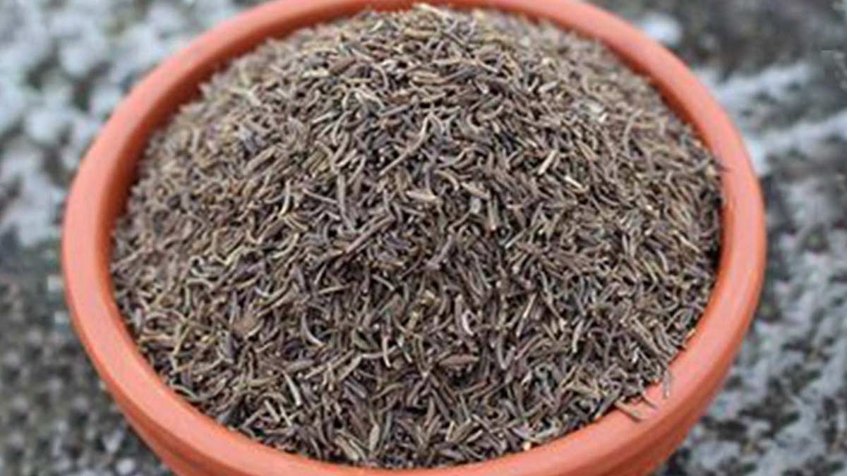 Jeera and shahi jeera in hindi ()