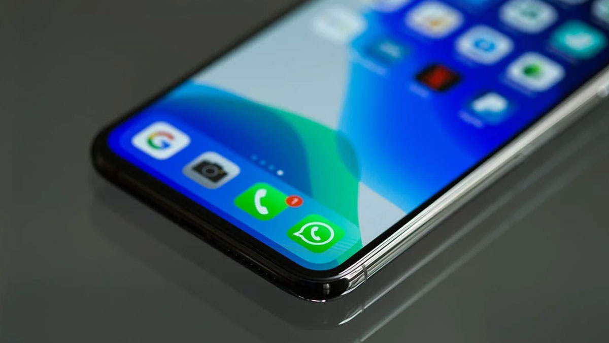 Whatsapp Account Checking