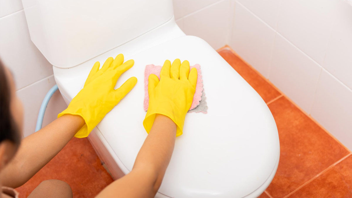 toilet seat cleaning tips