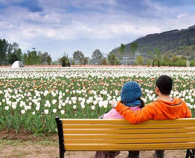 Most Beautiful Tulip Gardens In India