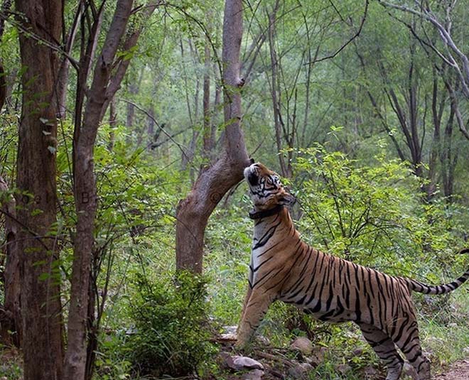 Vacation to spend near delhi in april