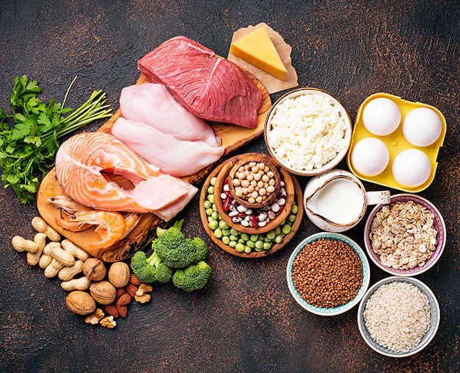 protein to lose weight fast