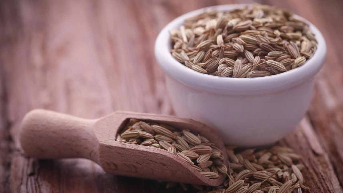 Fennel Seeds for gas