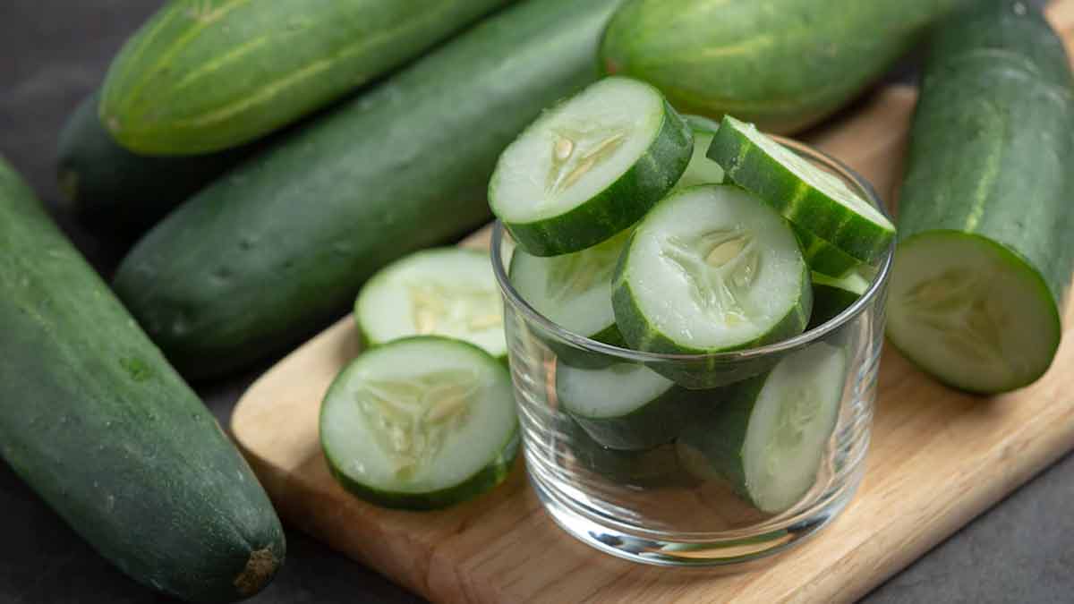 cucumber anti aging ingredients