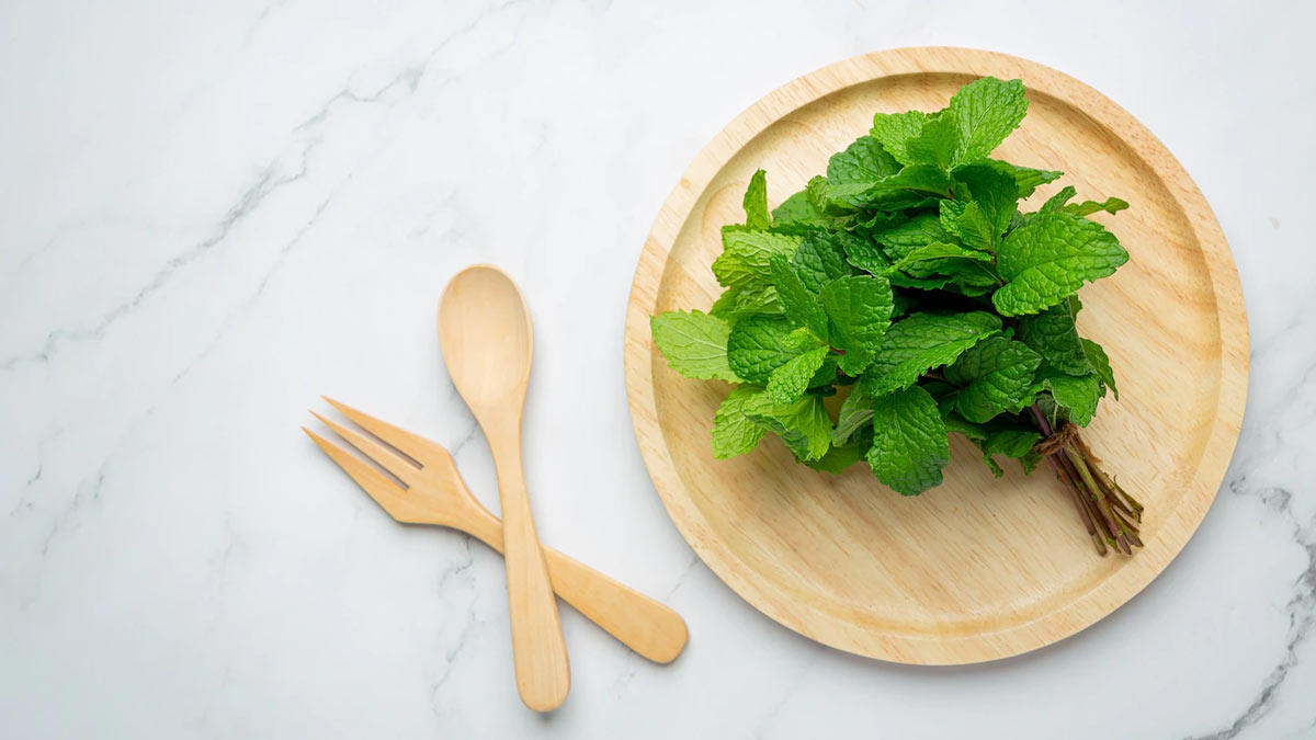 food poisoning remedies consume mint or pudina