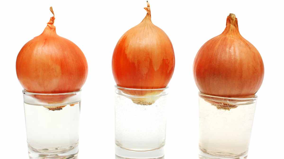 home growing and style